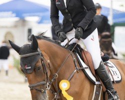 jumper Uccella 8 (Holsteiner, 2020, from UNITED WAY)