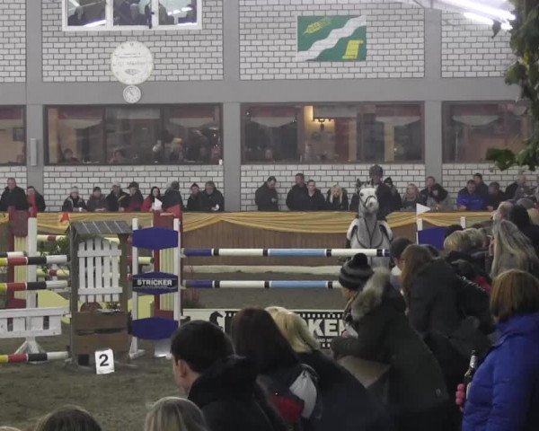 10. Emsländischer Jumping Day