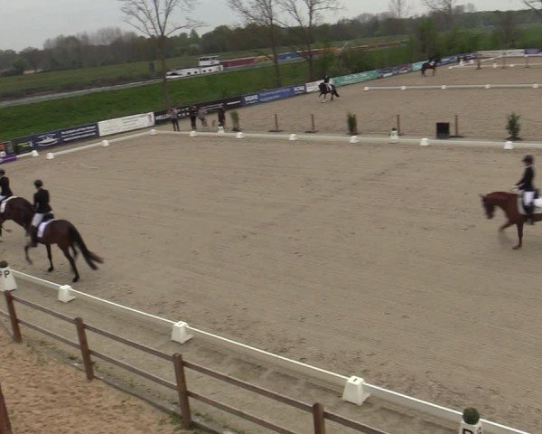 Reitturnier Scharnebeck 2025