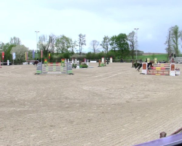 Reitturnier Pöttmes - Gut Sedlbrunn/Schw. 2025