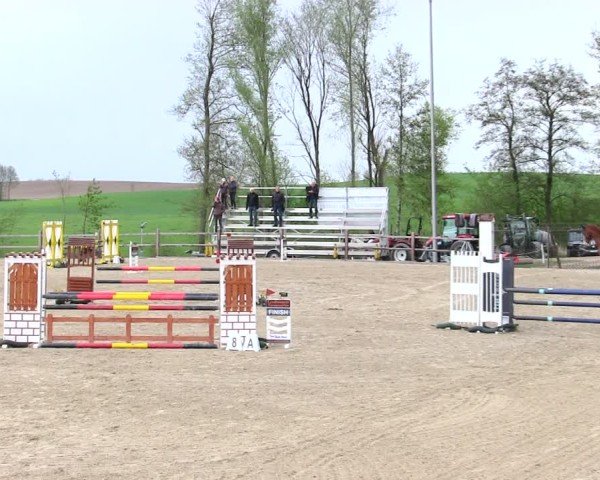 Reitturnier Pöttmes - Gut Sedlbrunn/Schw. 2025