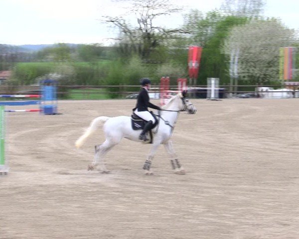 Reitturnier Pöttmes - Gut Sedlbrunn/Schw. 2025