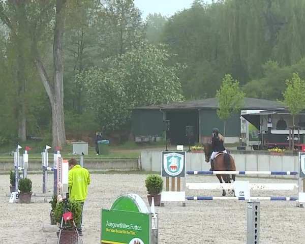 Reitturnier Grafenrheinfeld/Ufr. 2025