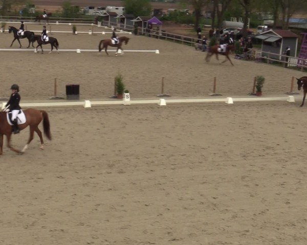 Reitturnier Scharnebeck 2025