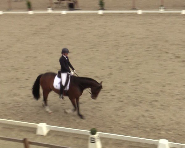 Reitturnier Scharnebeck 2025