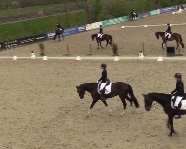 Reitturnier Scharnebeck 2025