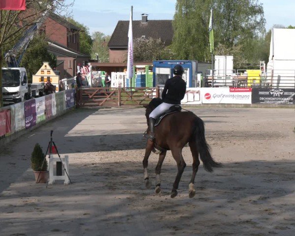 Reitturnier Werne-Lenklar 2025
