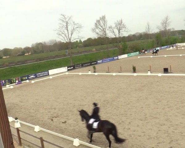 Reitturnier Scharnebeck 2025
