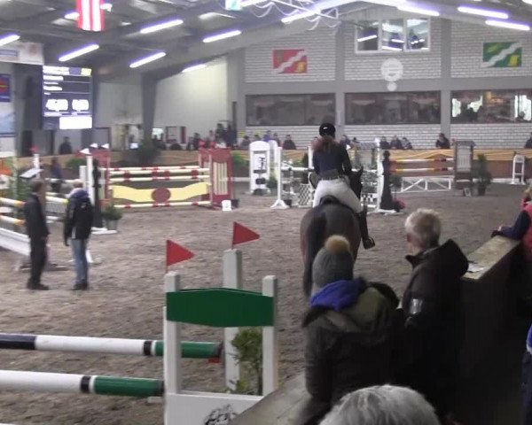 10. Emsländischer Jumping Day