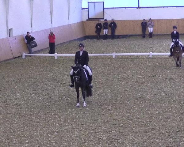 Reitturnier Datteln 2021