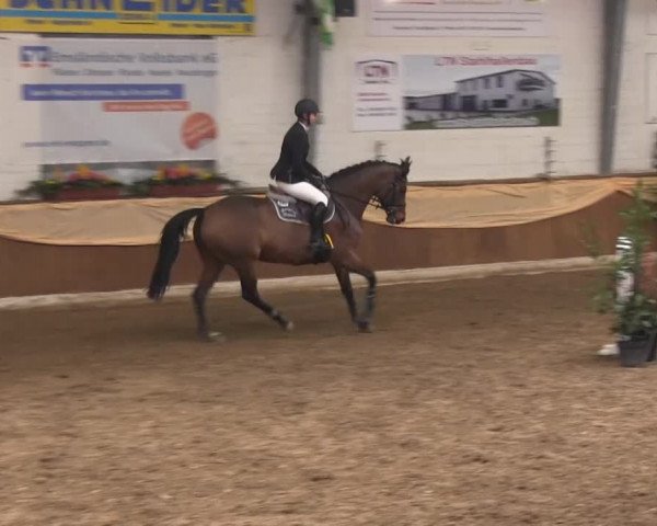 10. Emsländischer Jumping Day