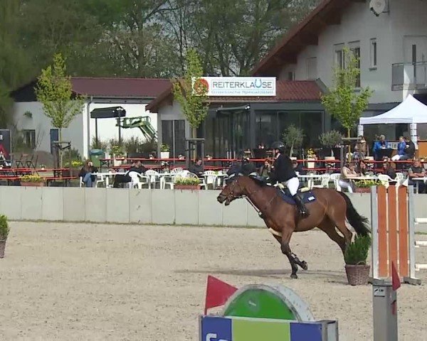 Reitturnier Grafenrheinfeld/Ufr. 2025