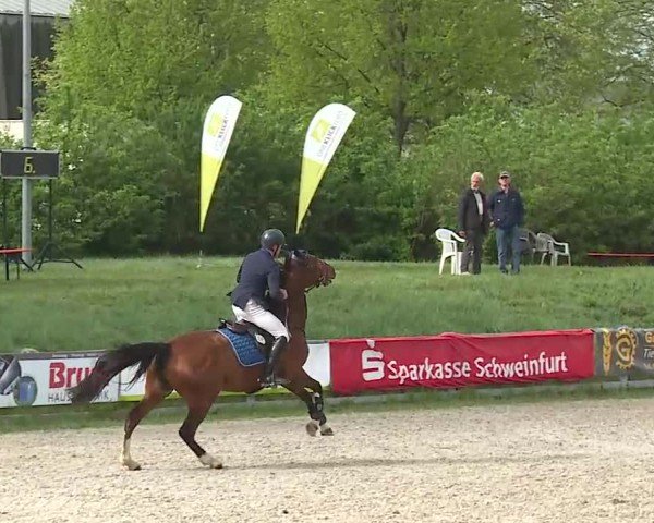 Reitturnier Grafenrheinfeld/Ufr. 2025