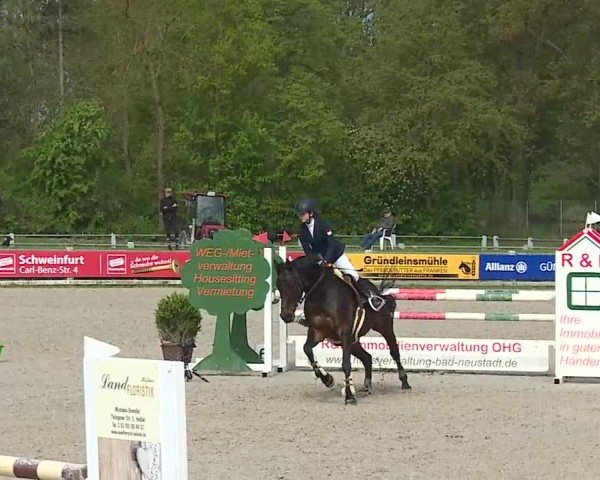 Reitturnier Grafenrheinfeld/Ufr. 2025