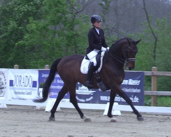 Reitturnier Scharnebeck 2025