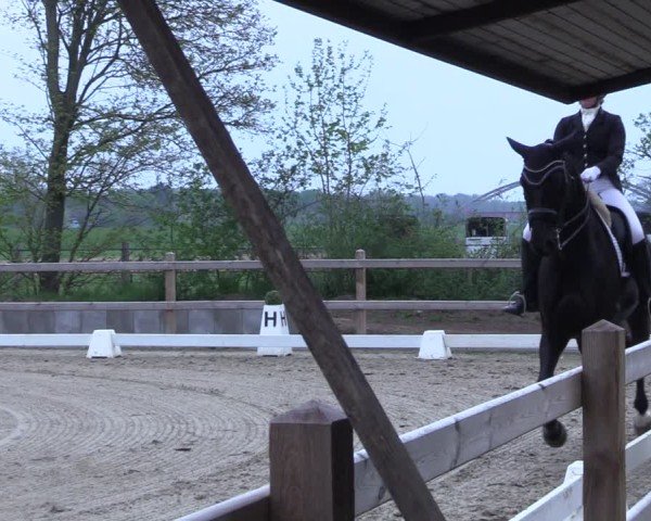 Reitturnier Scharnebeck 2025