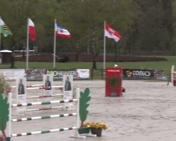 Reitturnier Westergellersen 2025