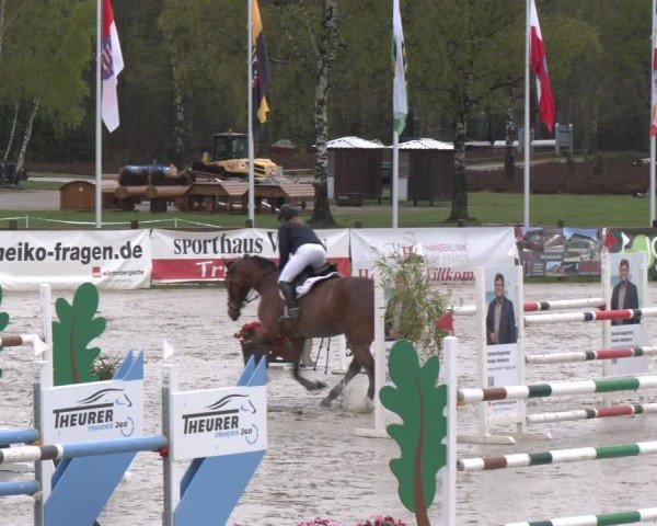 Reitturnier Westergellersen 2025