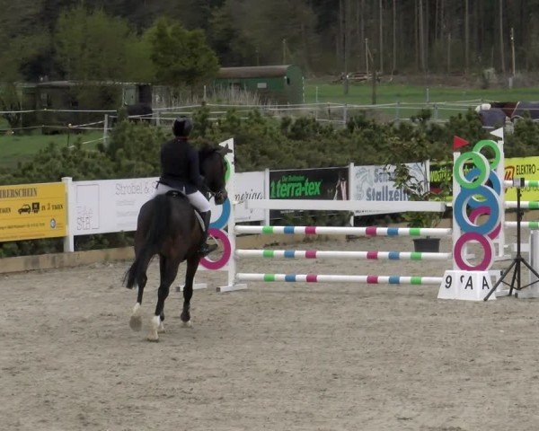 Reitturnier Sauldorf-Boll 2025