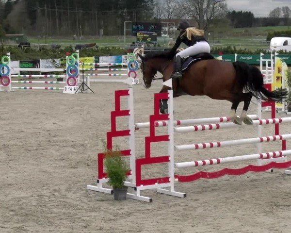 Reitturnier Sauldorf-Boll 2025