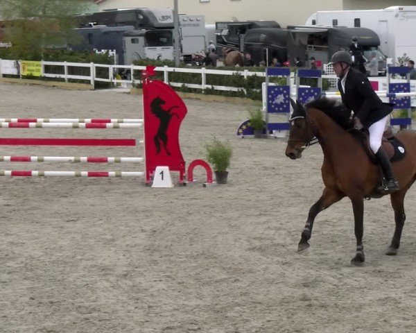 Reitturnier Sauldorf-Boll 2025