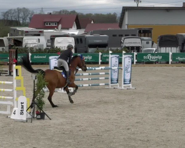 Reitturnier Sauldorf-Boll 2025
