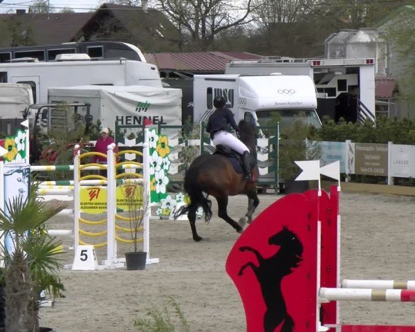 Reitturnier Sauldorf-Boll 2025