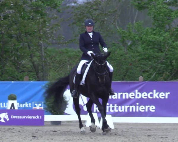 Reitturnier Scharnebeck 2025