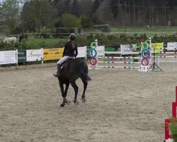 Reitturnier Sauldorf-Boll 2025