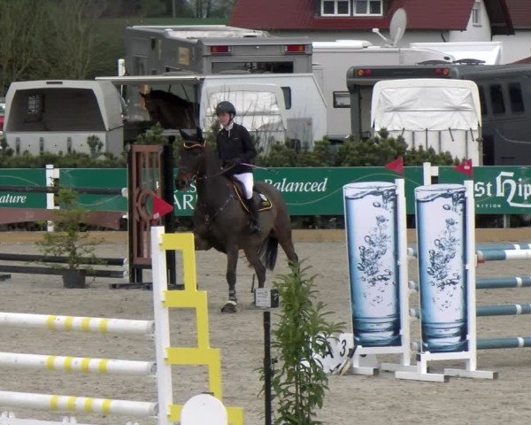 Reitturnier Sauldorf-Boll 2025