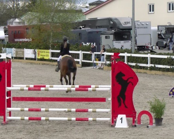 Reitturnier Sauldorf-Boll 2025