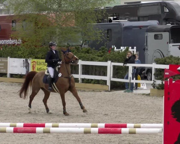 Reitturnier Sauldorf-Boll 2025