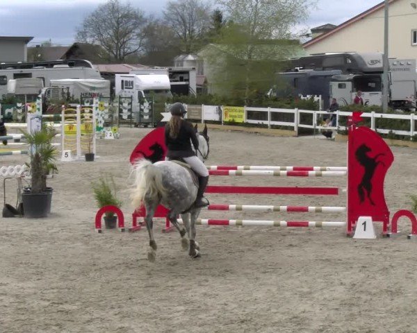 Reitturnier Sauldorf-Boll 2025