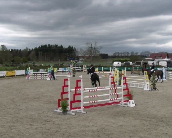 Reitturnier Sauldorf-Boll 2025