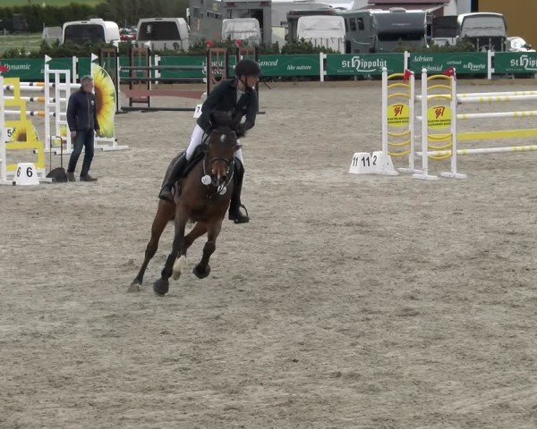 Reitturnier Sauldorf-Boll 2025