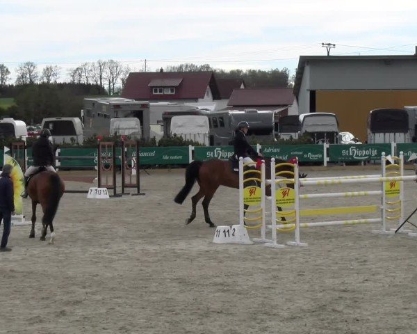 Reitturnier Sauldorf-Boll 2025