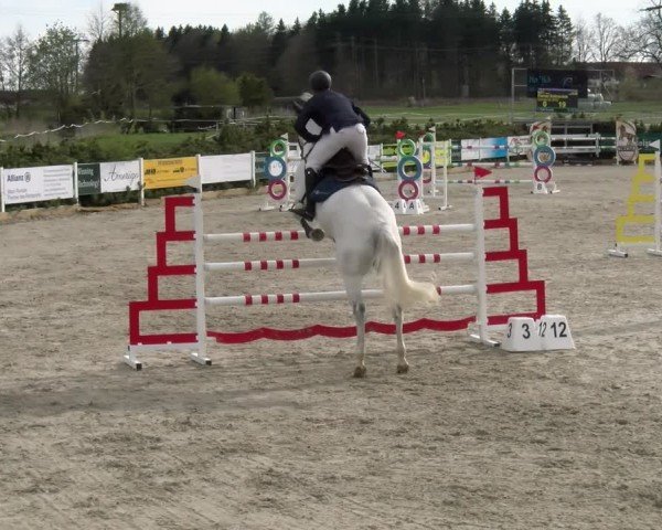 Reitturnier Sauldorf-Boll 2025