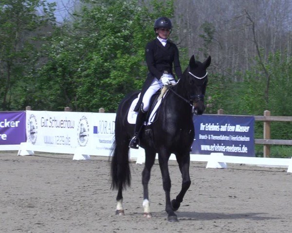 Reitturnier Scharnebeck 2025