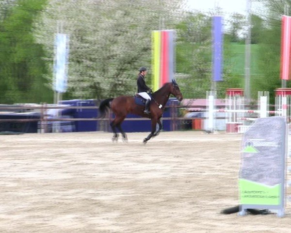 Reitturnier Pöttmes - Gut Sedlbrunn/Schw. 2025