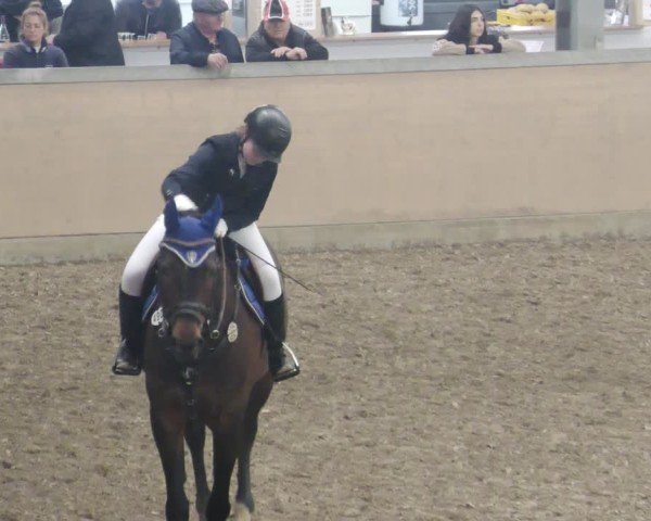 Reitturnier Waghäusel-Wiesental 2025