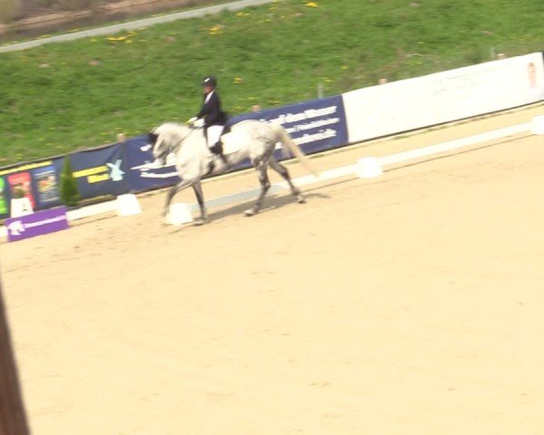 Reitturnier Scharnebeck 2025