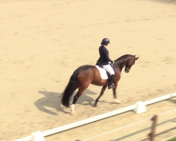 Reitturnier Scharnebeck 2025