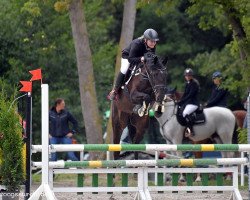 jumper Checker D 3 (Hanoverian, 2011, from Chacco Chacco)