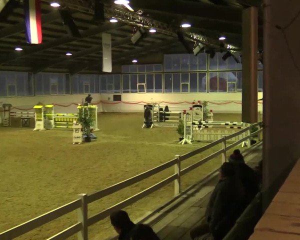 Hallenspringturnier Münster - Albachten 2014