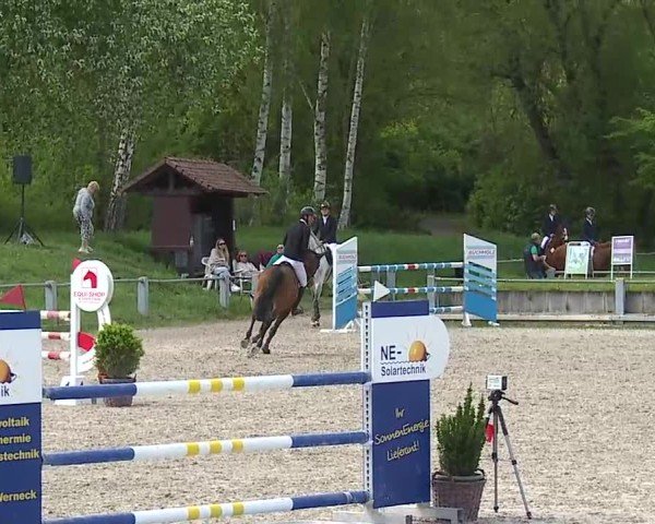 Reitturnier Grafenrheinfeld/Ufr. 2025