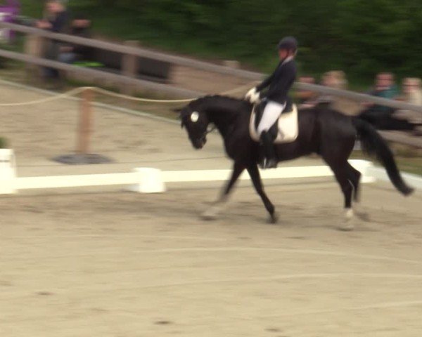 Reitturnier Scharnebeck 2025