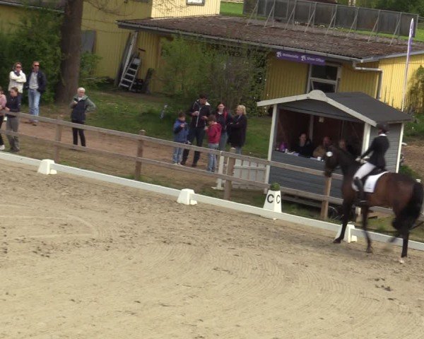 Reitturnier Scharnebeck 2025