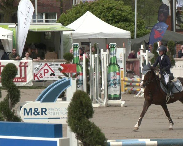 Reitturnier Werne-Lenklar 2025