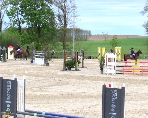 Reitturnier Pöttmes - Gut Sedlbrunn/Schw. 2025