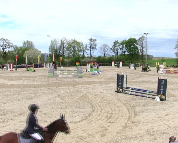 Reitturnier Pöttmes - Gut Sedlbrunn/Schw. 2025